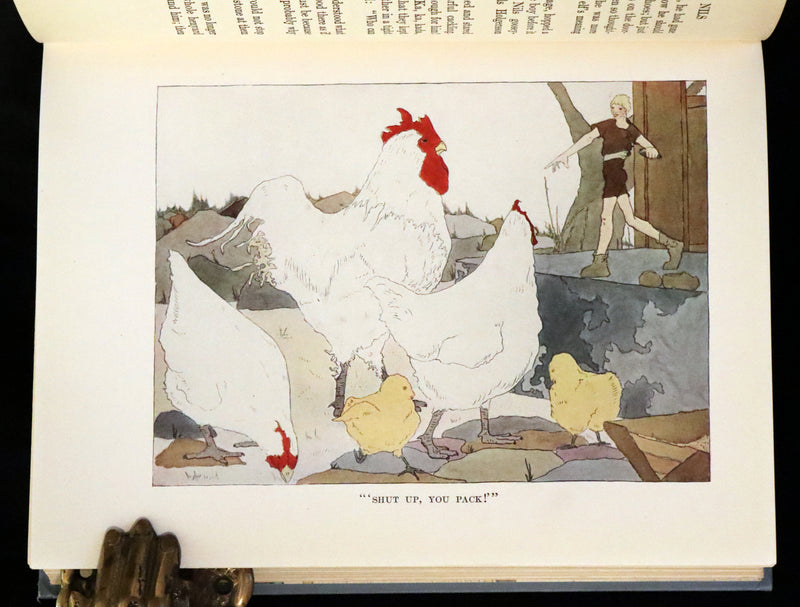 1913 Rare First illustrated Edition by Mary Hamilton Frye - The Wonderful Adventures of Nils by Selma Lagerlof.