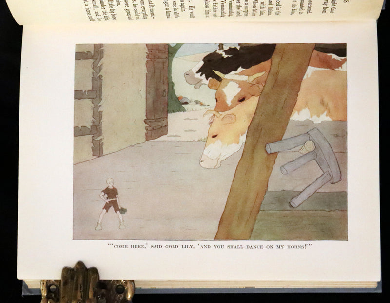 1913 Rare First illustrated Edition by Mary Hamilton Frye - The Wonderful Adventures of Nils by Selma Lagerlof.