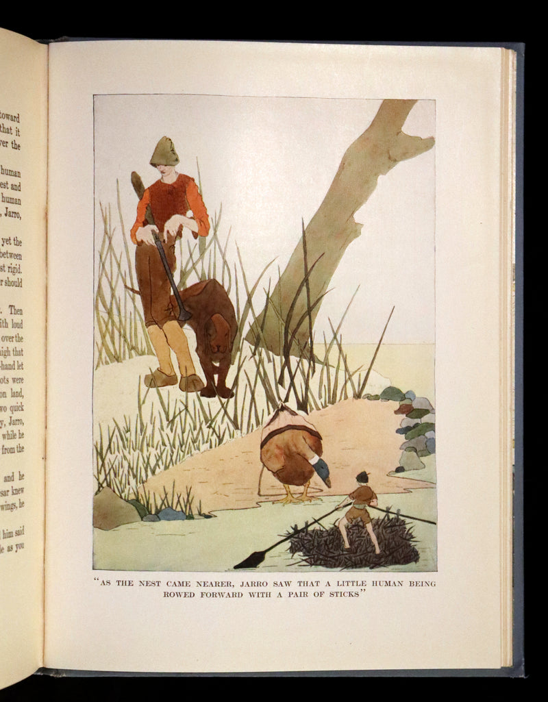 1913 Rare First illustrated Edition by Mary Hamilton Frye - The Wonderful Adventures of Nils by Selma Lagerlof.