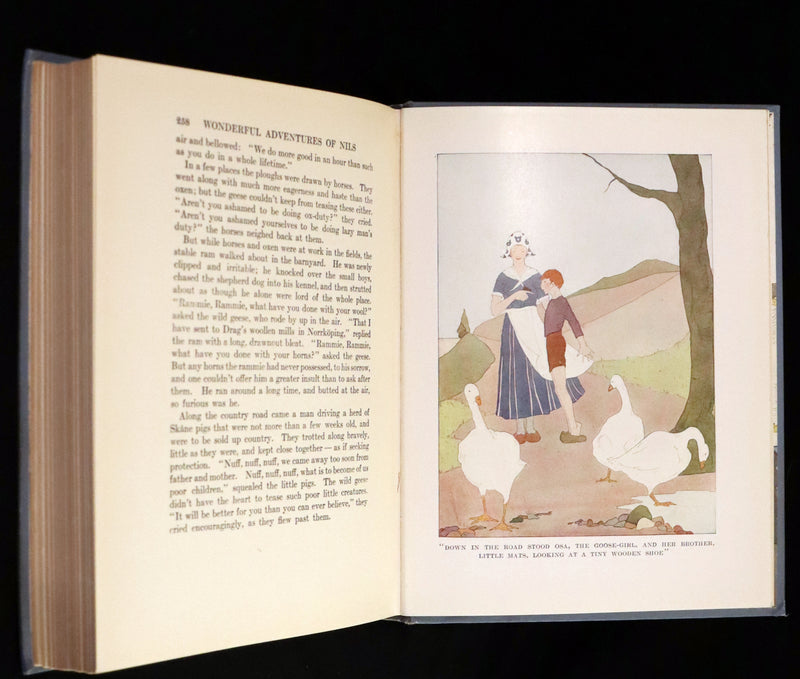 1913 Rare First illustrated Edition by Mary Hamilton Frye - The Wonderful Adventures of Nils by Selma Lagerlof.