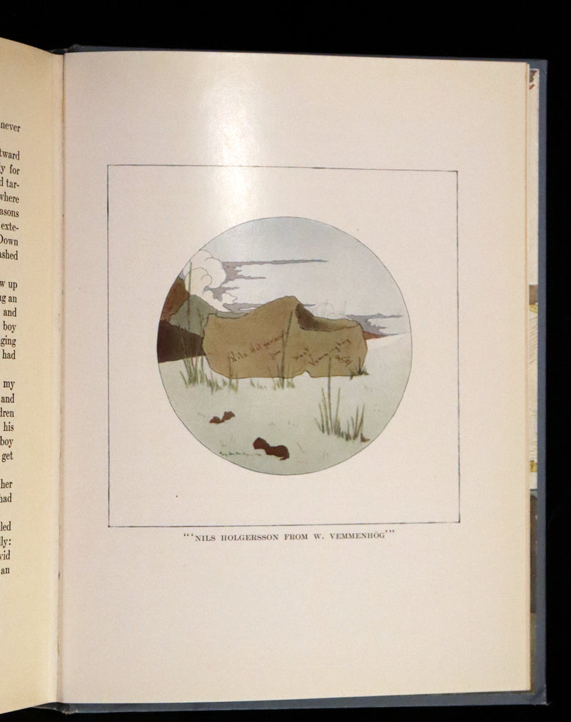 1913 Rare First illustrated Edition by Mary Hamilton Frye - The Wonderful Adventures of Nils by Selma Lagerlof.