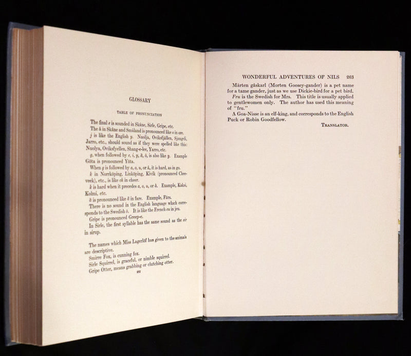 1913 Rare First illustrated Edition by Mary Hamilton Frye - The Wonderful Adventures of Nils by Selma Lagerlof.