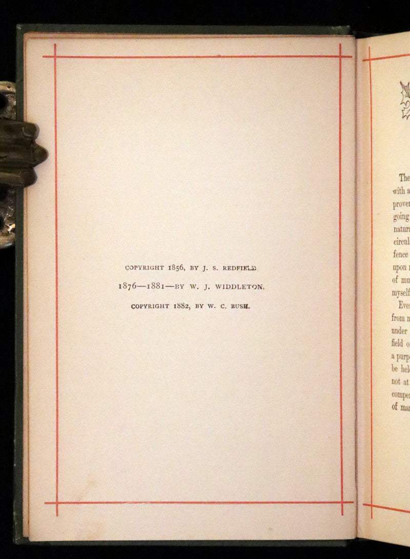 1882 Rare Book - Poems by Edgar Allan Poe with Memoir (The Raven, Lenore, Fairy-Land,...).