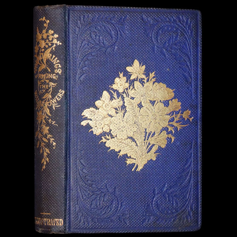 1857 Rare Victorian Book - Wild Flowers and Medicinal Uses, Color Illustrated by Noel Humphreys.