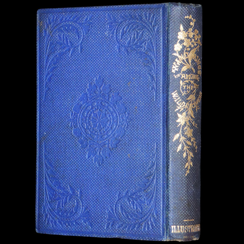 1857 Rare Victorian Book - Wild Flowers and Medicinal Uses, Color Illustrated by Noel Humphreys.