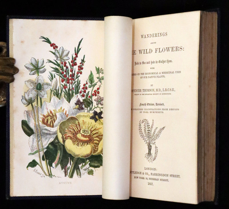 1857 Rare Victorian Book - Wild Flowers and Medicinal Uses, Color Illustrated by Noel Humphreys.
