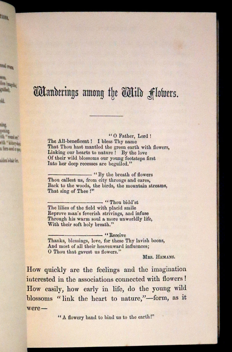1857 Rare Victorian Book - Wild Flowers and Medicinal Uses, Color Illustrated by Noel Humphreys.