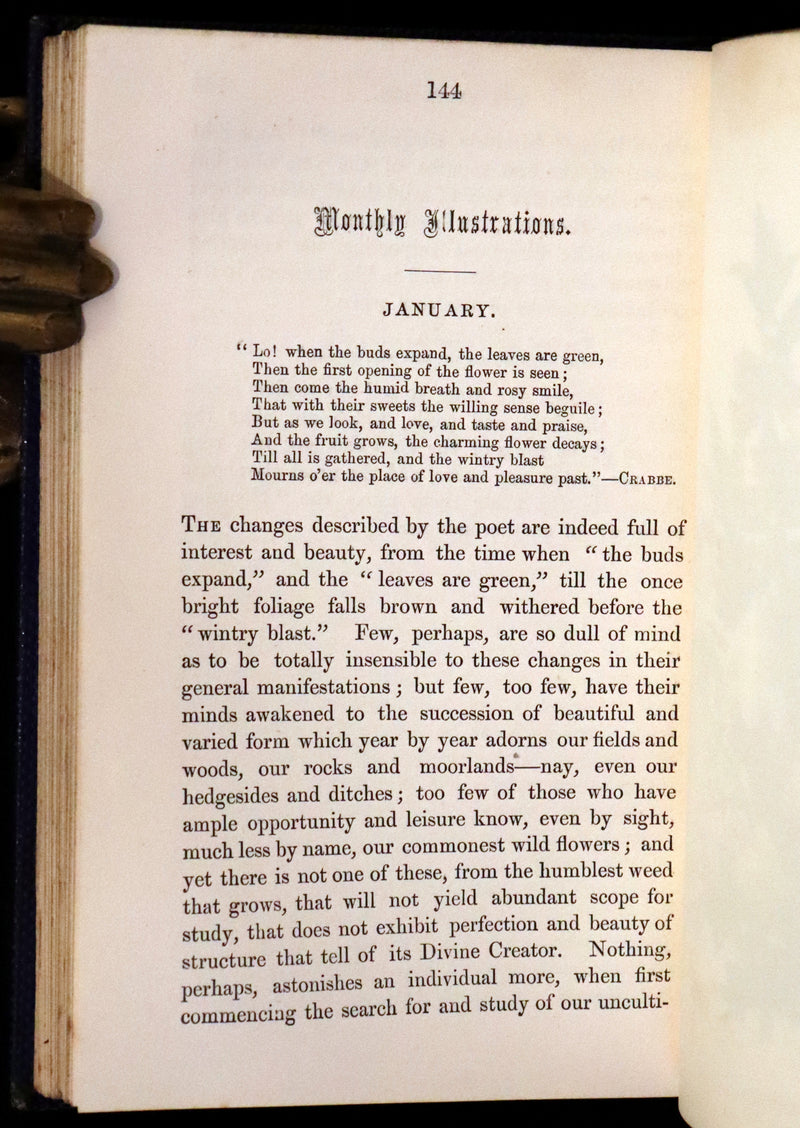 1857 Rare Victorian Book - Wild Flowers and Medicinal Uses, Color Illustrated by Noel Humphreys.