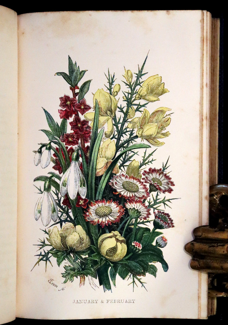 1857 Rare Victorian Book - Wild Flowers and Medicinal Uses, Color Illustrated by Noel Humphreys.