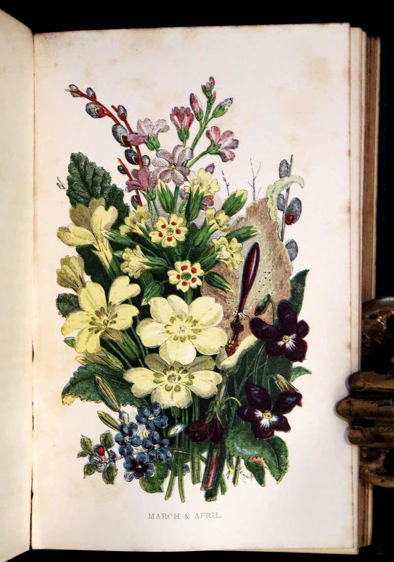 1857 Rare Victorian Book - Wild Flowers and Medicinal Uses, Color Illustrated by Noel Humphreys.