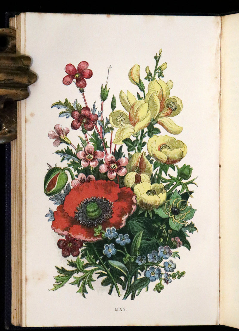 1857 Rare Victorian Book - Wild Flowers and Medicinal Uses, Color Illustrated by Noel Humphreys.