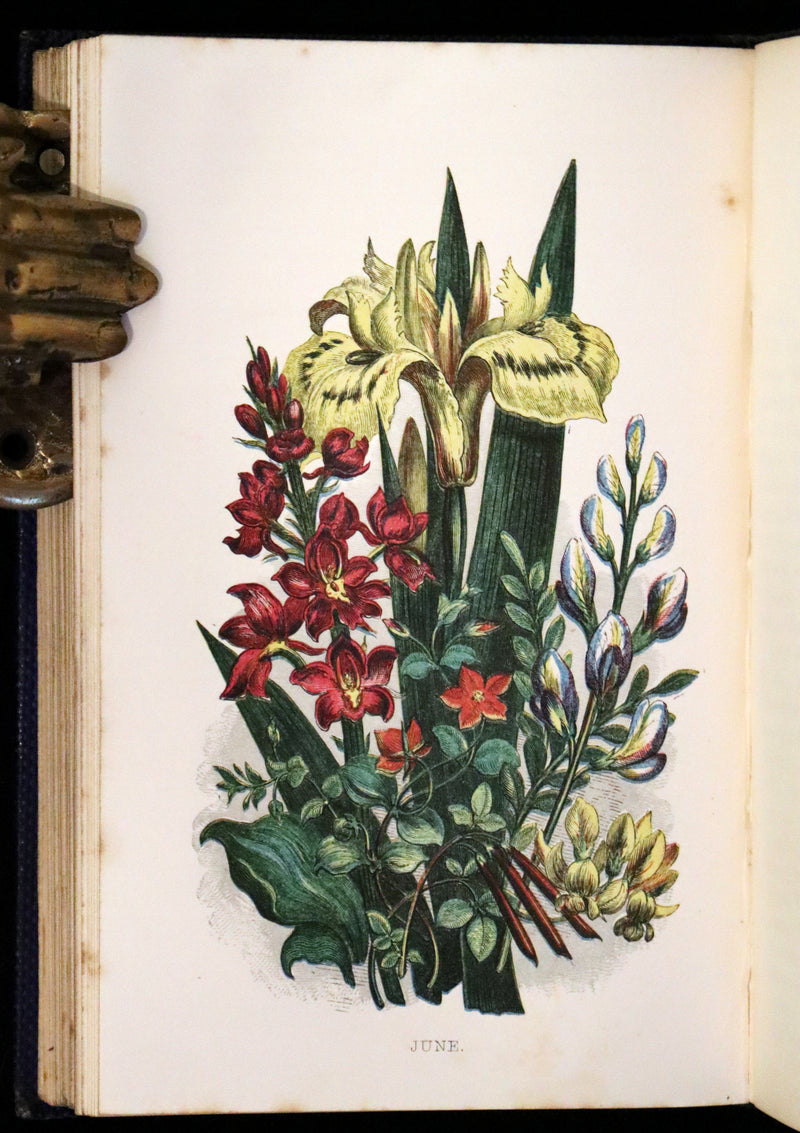1857 Rare Victorian Book - Wild Flowers and Medicinal Uses, Color Illustrated by Noel Humphreys.