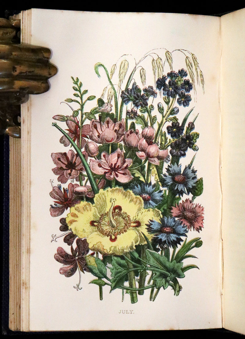1857 Rare Victorian Book - Wild Flowers and Medicinal Uses, Color Illustrated by Noel Humphreys.