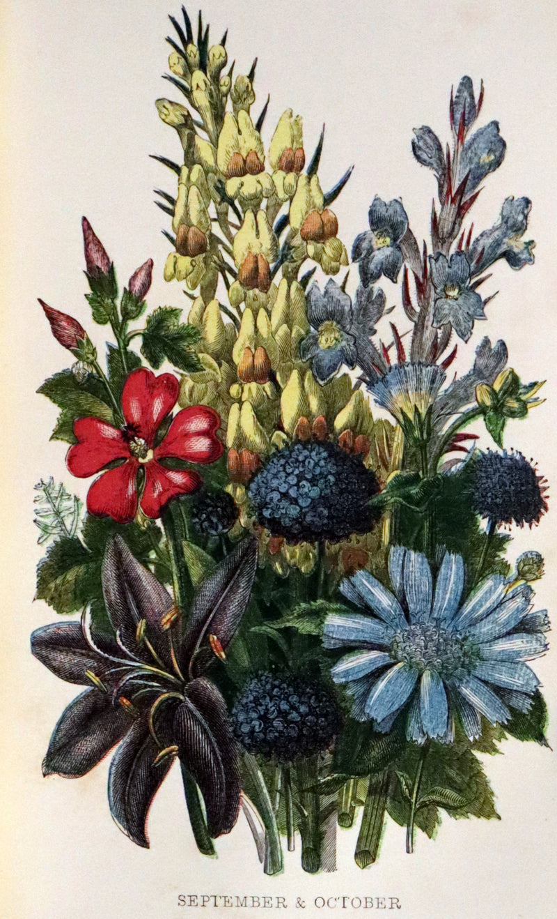 1857 Rare Victorian Book - Wild Flowers and Medicinal Uses, Color Illustrated by Noel Humphreys.