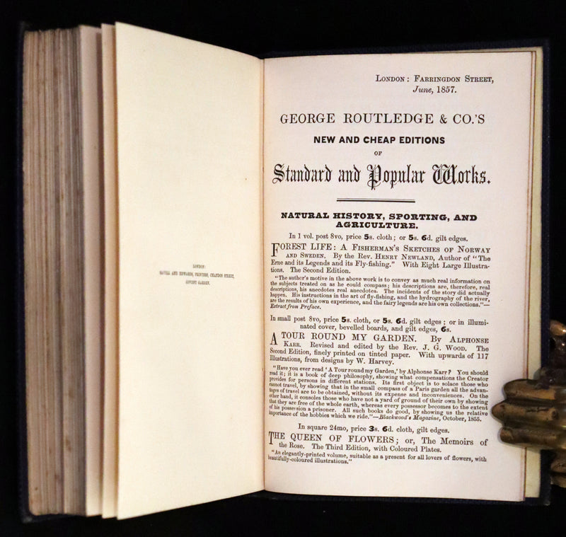 1857 Rare Victorian Book - Wild Flowers and Medicinal Uses, Color Illustrated by Noel Humphreys.