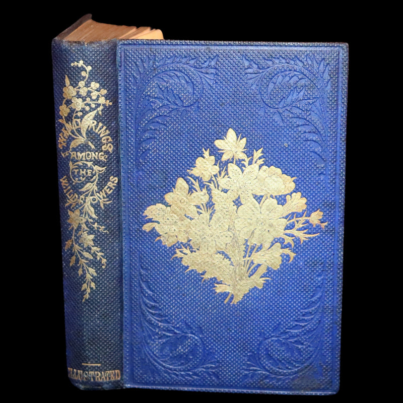 1857 Rare Victorian Book - Wild Flowers and Medicinal Uses, Color Illustrated by Noel Humphreys.