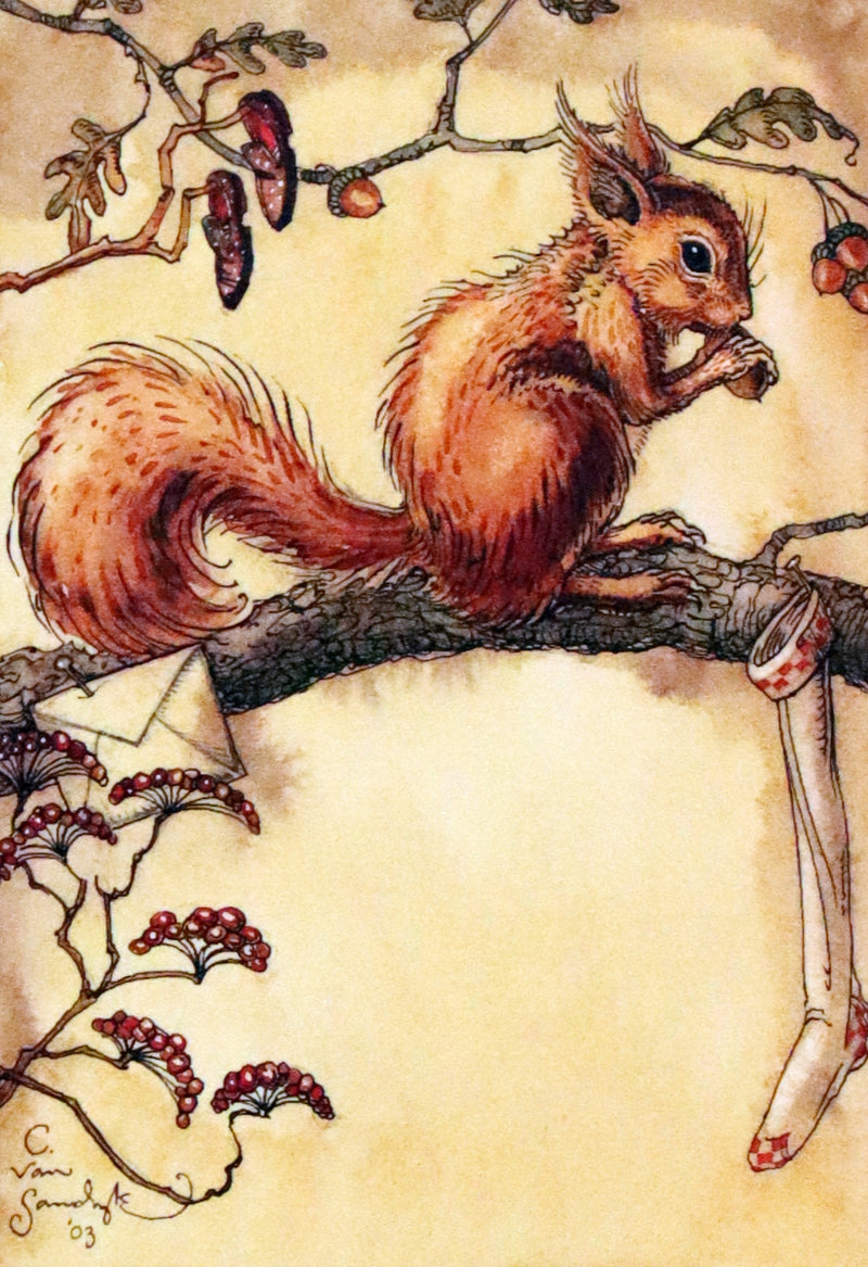 2007 Rare Edition - Mr. Rabbit's Christmas Wish Translated for Humans by Charles van Sandwyk.