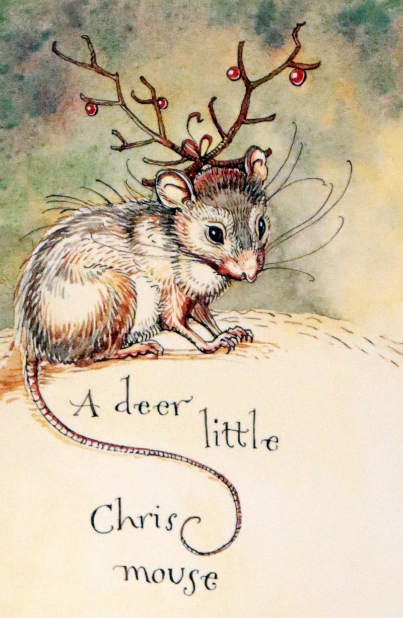 2007 Rare Edition - Mr. Rabbit's Christmas Wish Translated for Humans by Charles van Sandwyk.