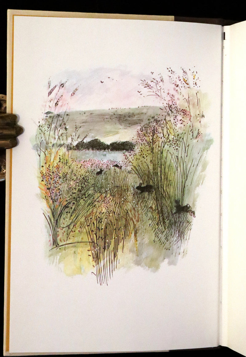 1976 Rare First Illustrated Edition with Dust Jacket - Watership Down by Richard Adams, illustrated by John Lawrence.