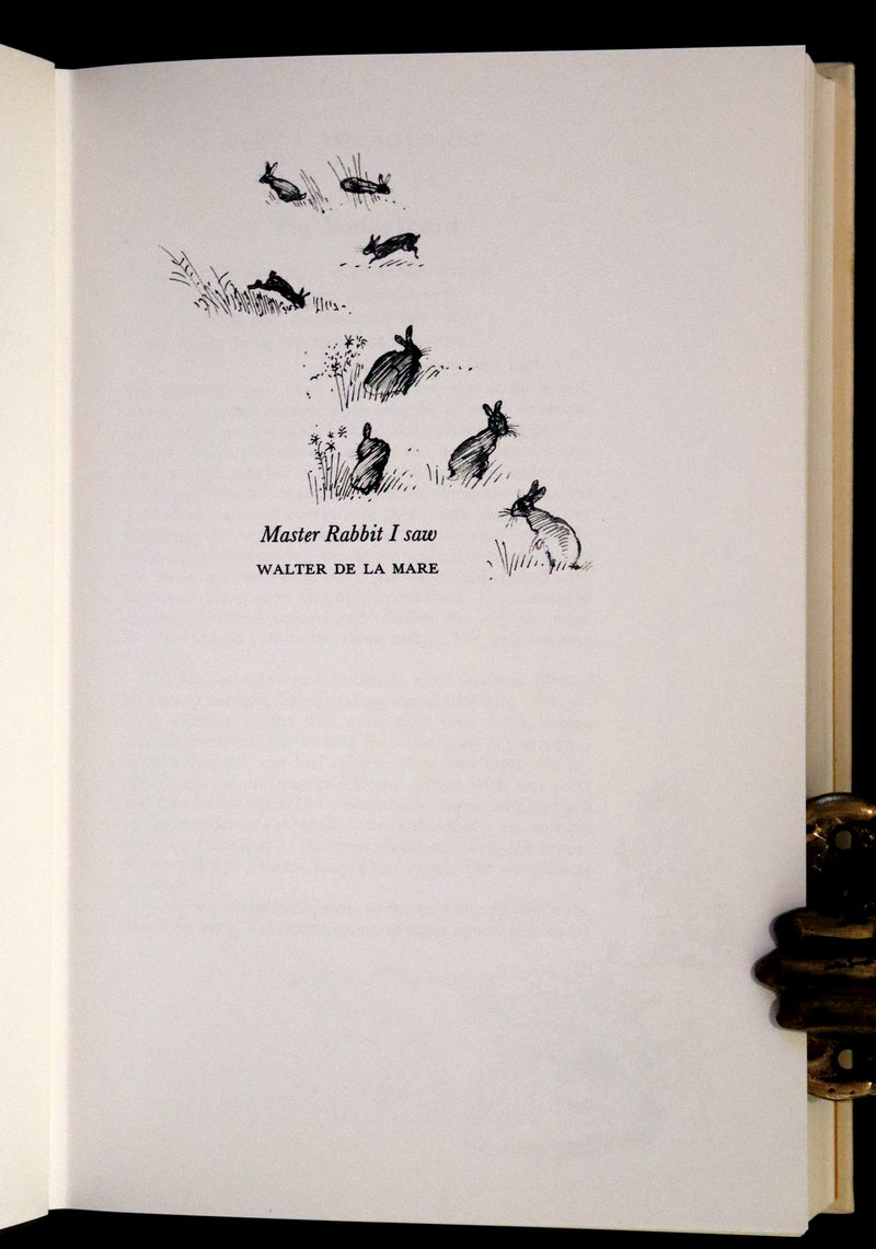 1976 Rare First Illustrated Edition with Dust Jacket - Watership Down by Richard Adams, illustrated by John Lawrence.