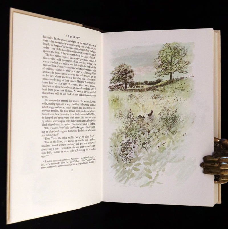1976 Rare First Illustrated Edition with Dust Jacket - Watership Down by Richard Adams, illustrated by John Lawrence.