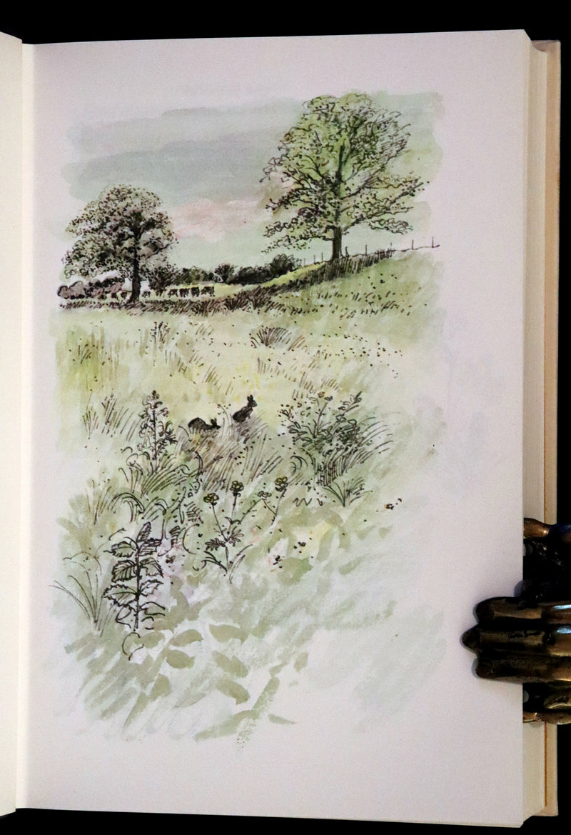 1976 Rare First Illustrated Edition with Dust Jacket - Watership Down by Richard Adams, illustrated by John Lawrence.