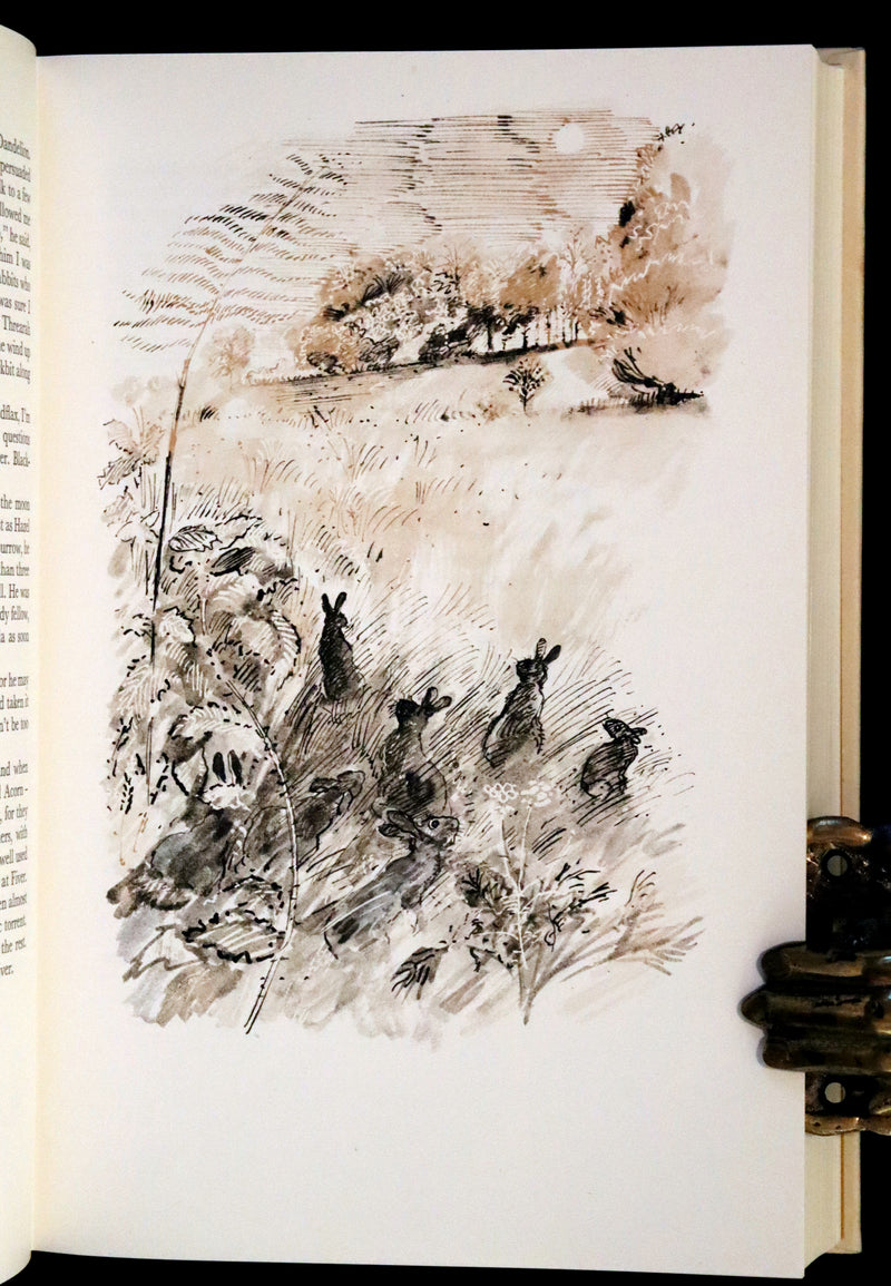 1976 Rare First Illustrated Edition with Dust Jacket - Watership Down by Richard Adams, illustrated by John Lawrence.