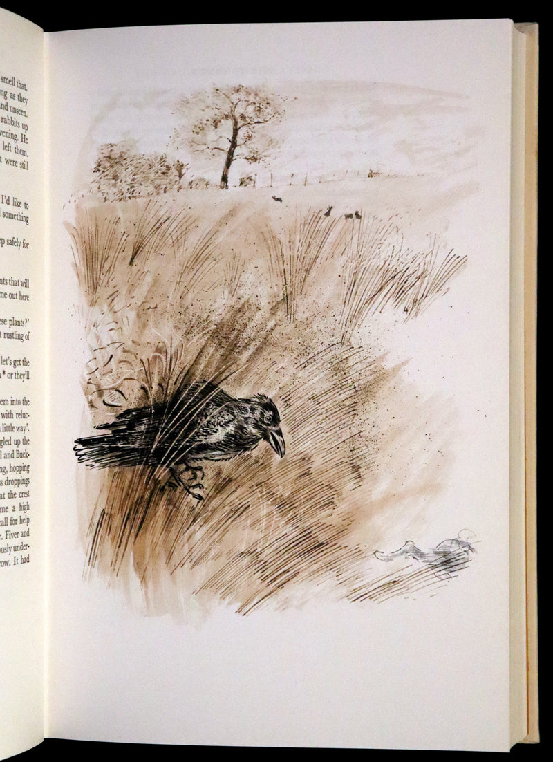 1976 Rare First Illustrated Edition with Dust Jacket - Watership Down by Richard Adams, illustrated by John Lawrence.