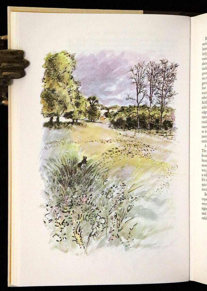 1976 Rare First Illustrated Edition with Dust Jacket - Watership Down by Richard Adams, illustrated by John Lawrence.