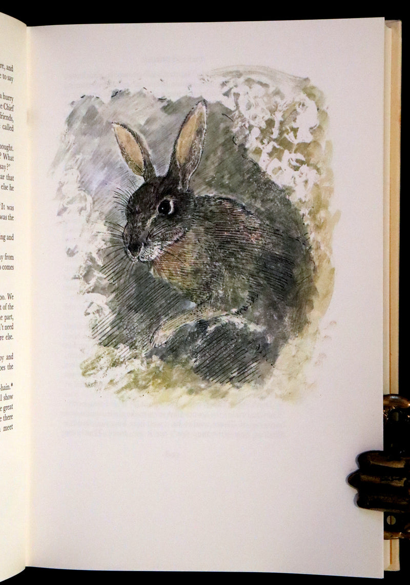 1976 Rare First Illustrated Edition with Dust Jacket - Watership Down by Richard Adams, illustrated by John Lawrence.