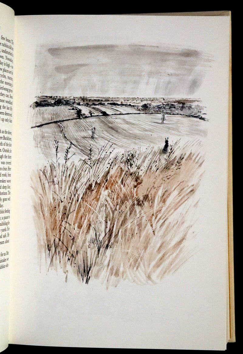 1976 Rare First Illustrated Edition with Dust Jacket - Watership Down by Richard Adams, illustrated by John Lawrence.