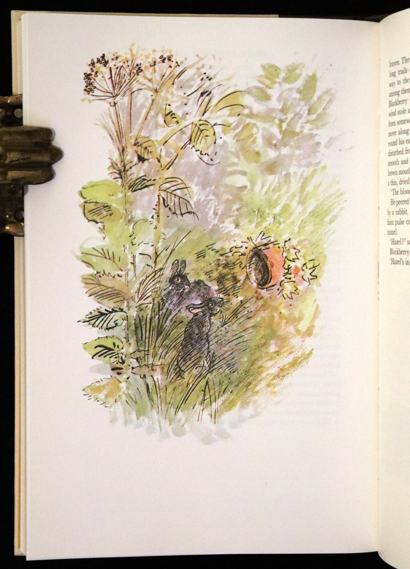 1976 Rare First Illustrated Edition with Dust Jacket - Watership Down by Richard Adams, illustrated by John Lawrence.