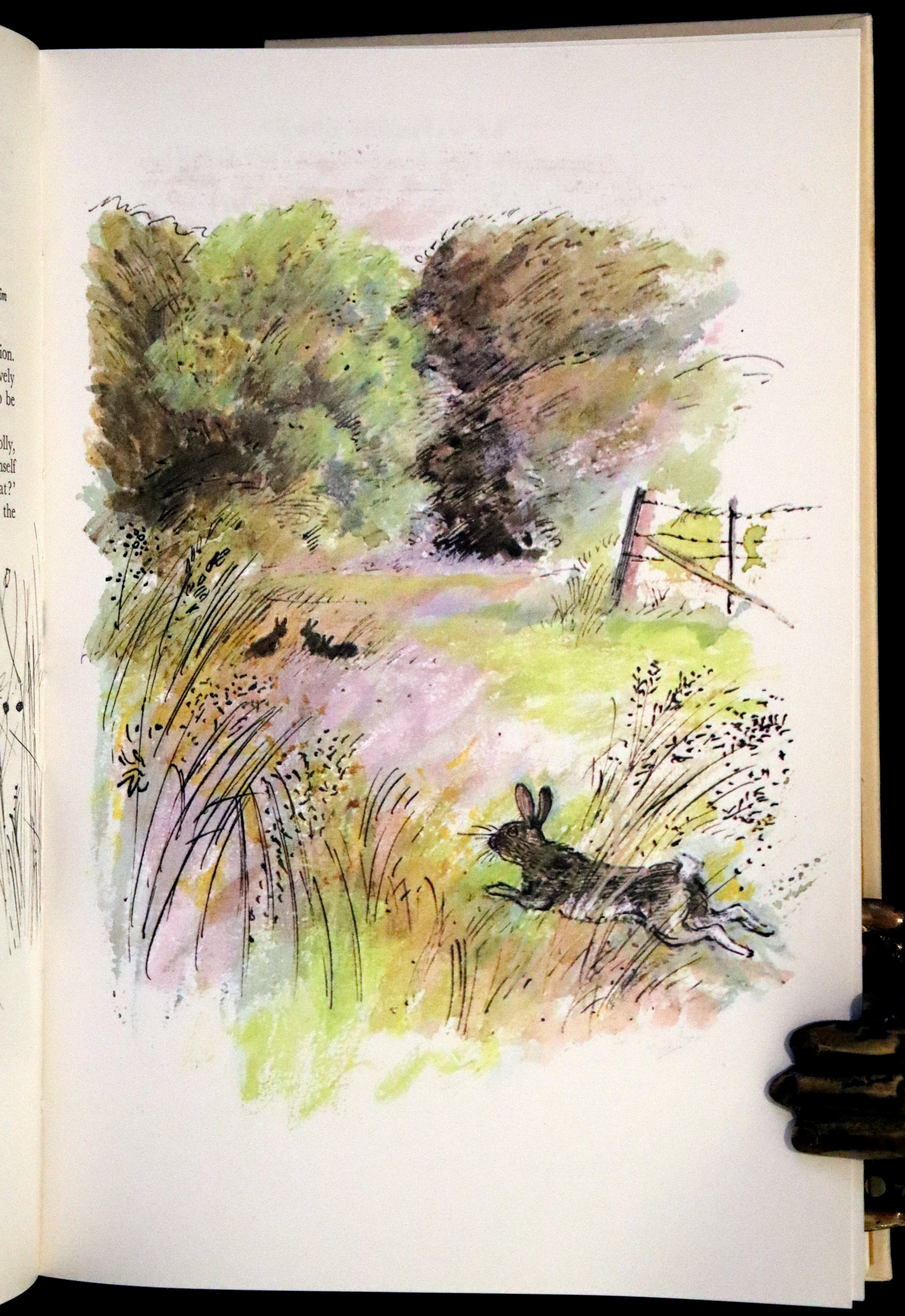 1976 Rare First Illustrated Edition with Dust Jacket - Watership