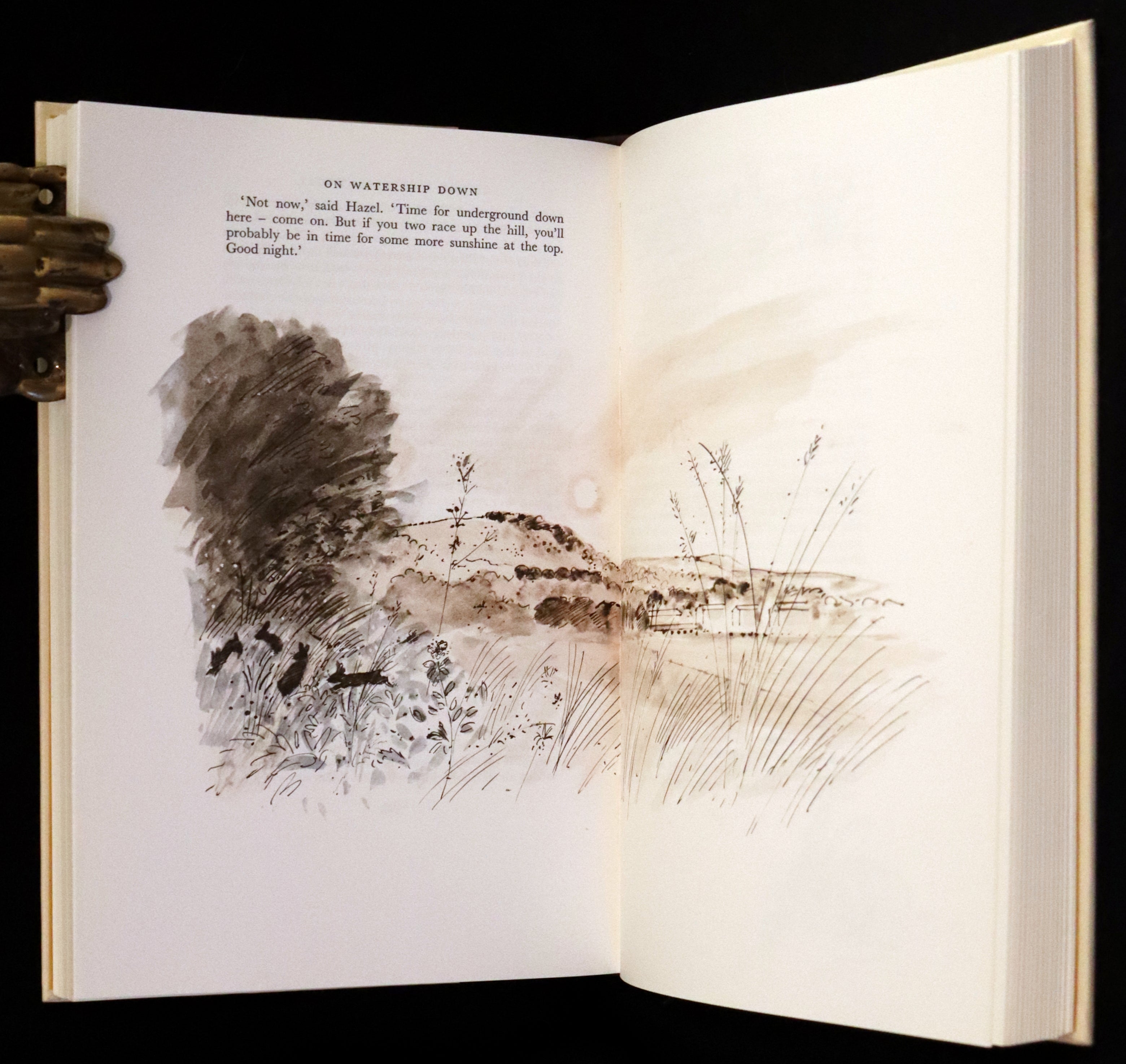 1976 Rare First Illustrated Edition with Dust Jacket - Watership