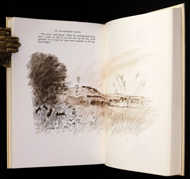 1976 Rare First Illustrated Edition with Dust Jacket - Watership Down by Richard Adams, illustrated by John Lawrence.