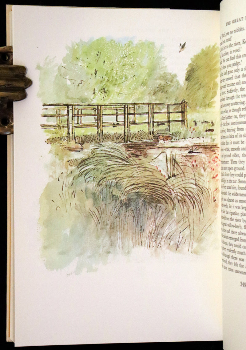 1976 Rare First Illustrated Edition with Dust Jacket - Watership Down by Richard Adams, illustrated by John Lawrence.