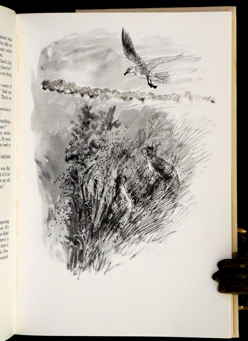 1976 Rare First Illustrated Edition with Dust Jacket - Watership Down by Richard Adams, illustrated by John Lawrence.