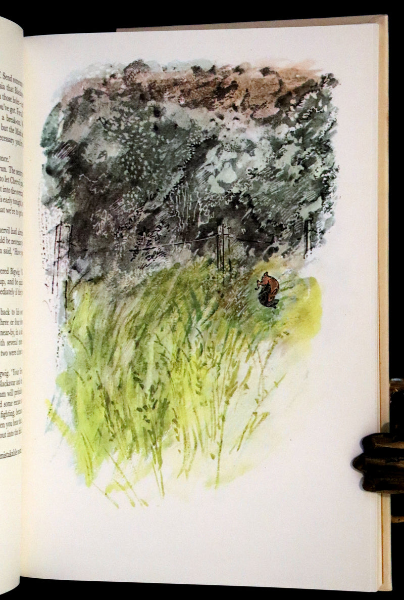 1976 Rare First Illustrated Edition with Dust Jacket - Watership Down by Richard Adams, illustrated by John Lawrence.