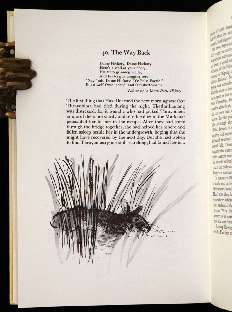 1976 Rare First Illustrated Edition with Dust Jacket - Watership Down by Richard Adams, illustrated by John Lawrence.