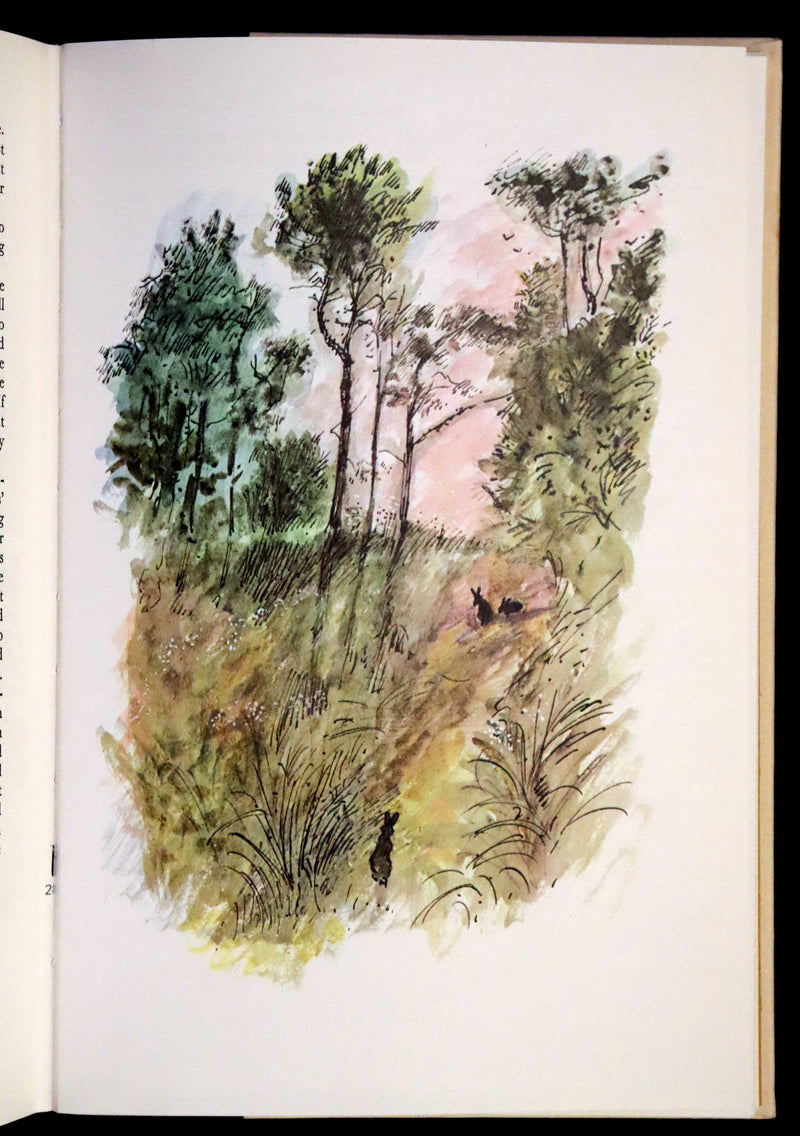 1976 Rare First Illustrated Edition with Dust Jacket - Watership Down by Richard Adams, illustrated by John Lawrence.