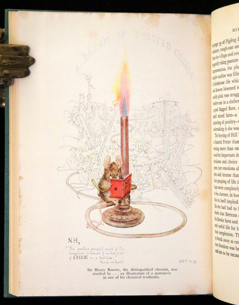 1946 Rare First Edition with Dust jacket - The Tale of Beatrix Potter, A Biography by Margaret Lane.