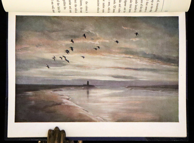 1946 Rare First Illustrated Edition Signed by Peter Scott - The Snow Goose by Paul Gallico in a Bayntun binding.