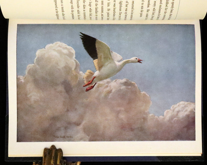 1946 Rare First Illustrated Edition Signed by Peter Scott - The Snow Goose by Paul Gallico in a Bayntun binding.