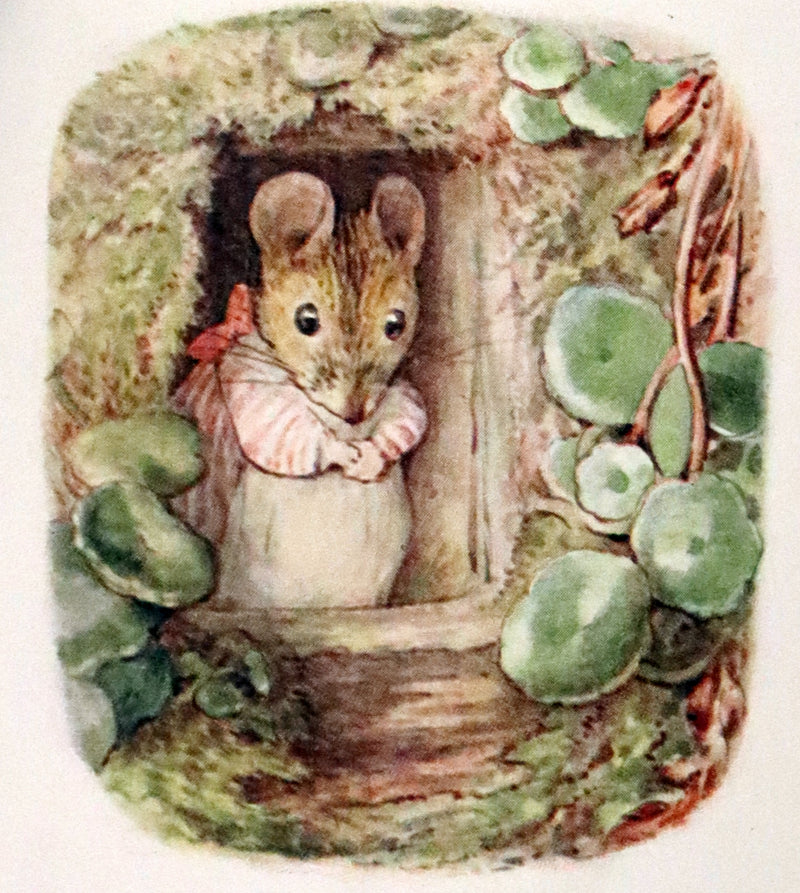 1910 Rare Early Edition - The Tale of Mrs. Tittlemouse by Beatrix Potter.