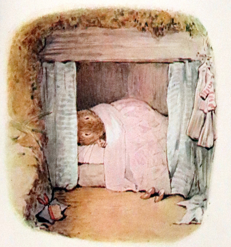 1910 Rare Early Edition - The Tale of Mrs. Tittlemouse by Beatrix Potter.