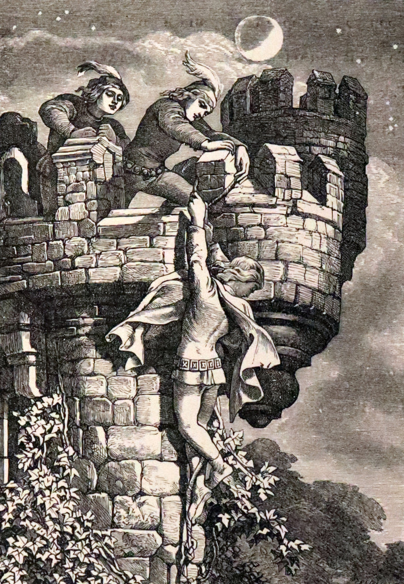 1860 Rare First illustrated Edition by Maclise - The Princess by Alfred Lord Tennyson.