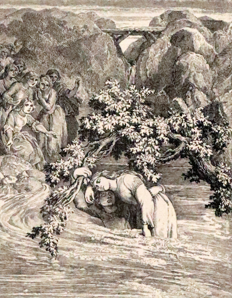 1860 Rare First illustrated Edition by Maclise - The Princess by Alfred Lord Tennyson.