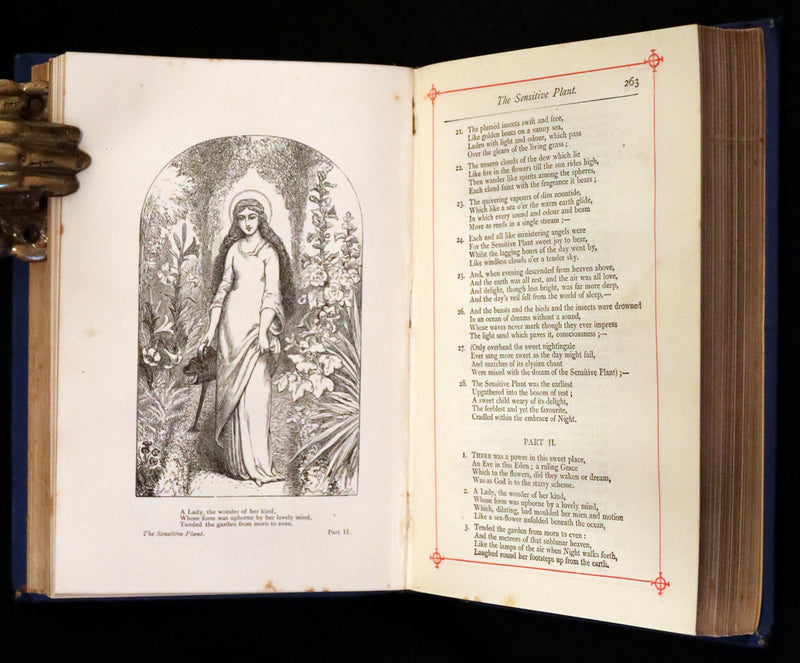 1880 Rare Victorian Book - The Poetical Works of Percy Bysshe Shelley. Illustrated.