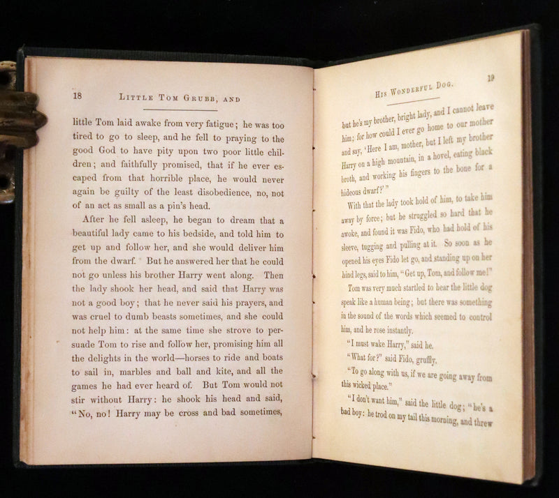 1859 Scarce Book - The FAIRIES IN AMERICA by Spencer W. Cone.