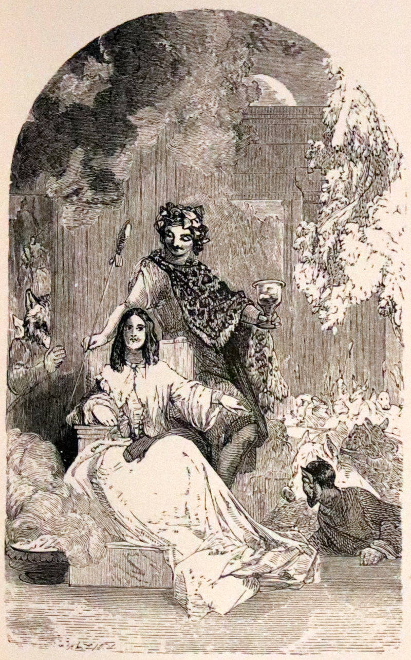 1880 Rare Victorian Book - The Poetical Works of John Milton. Illustrated.